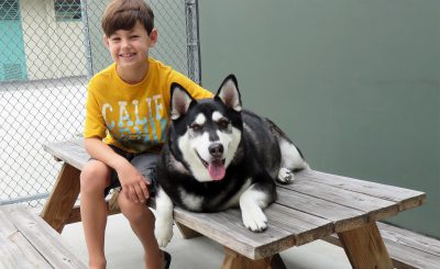 Adopter with Oreo