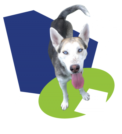 Whitney the dog